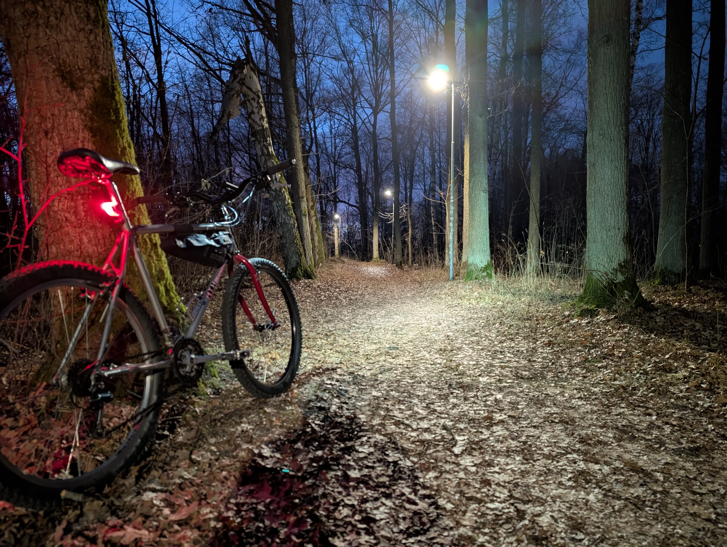 PXL_20251229_151215480.NIGHT.webp