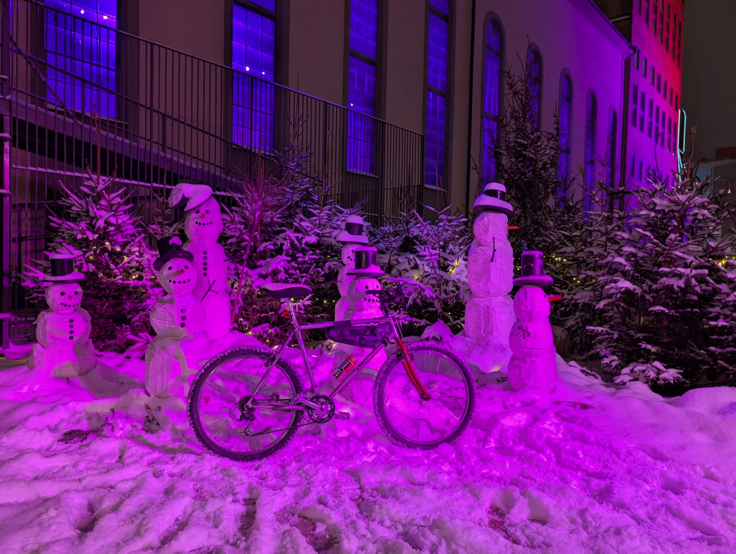 PXL_20260106_155158740.webp