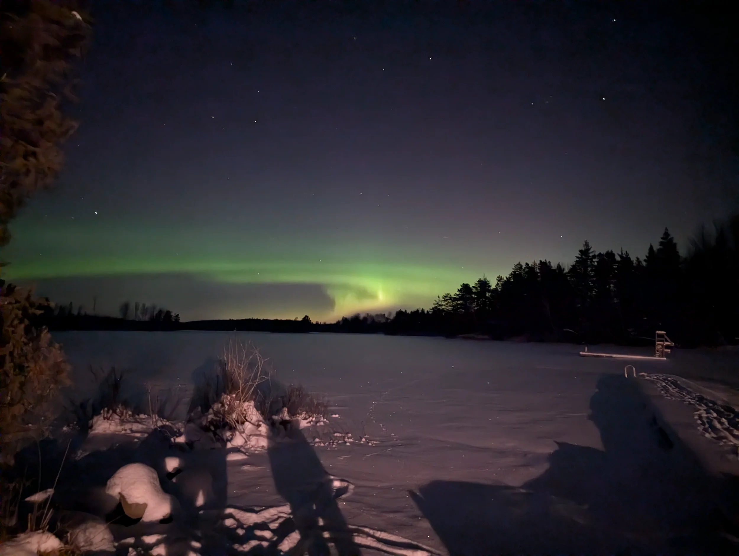 PXL_20260111_200359285.NIGHT.webp