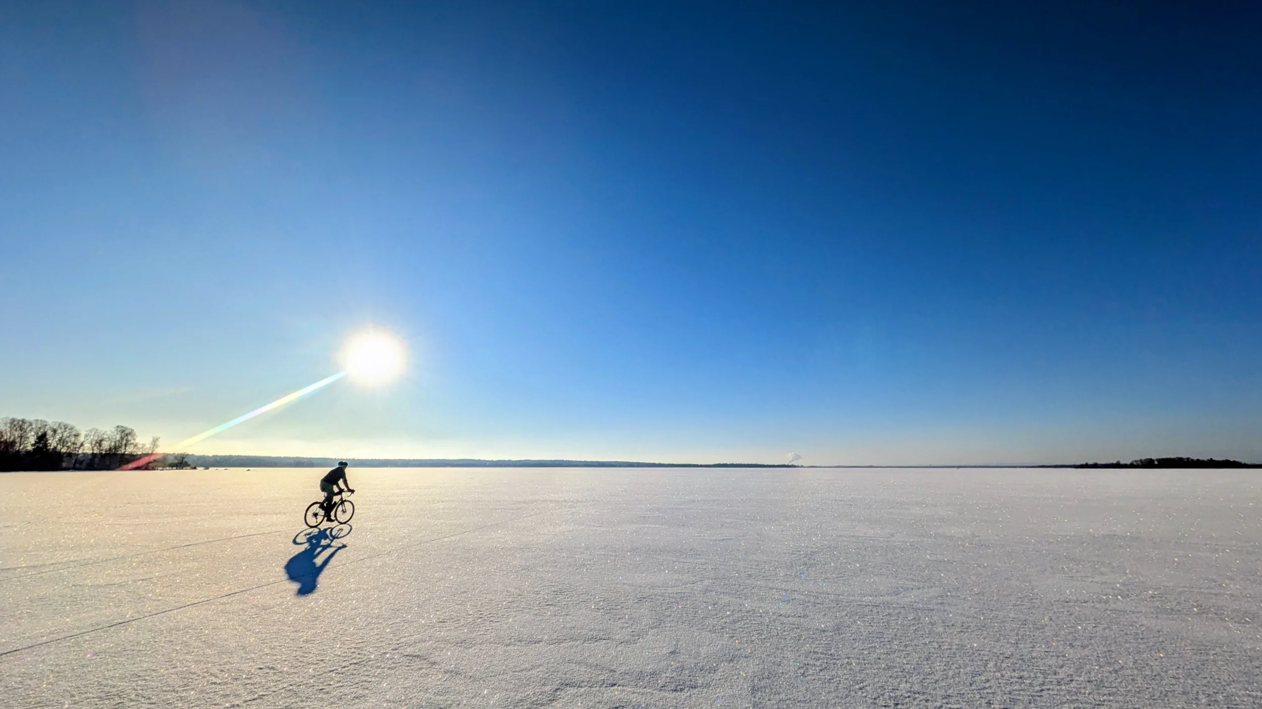 PXL_20260214_135639180.MP~2.webp