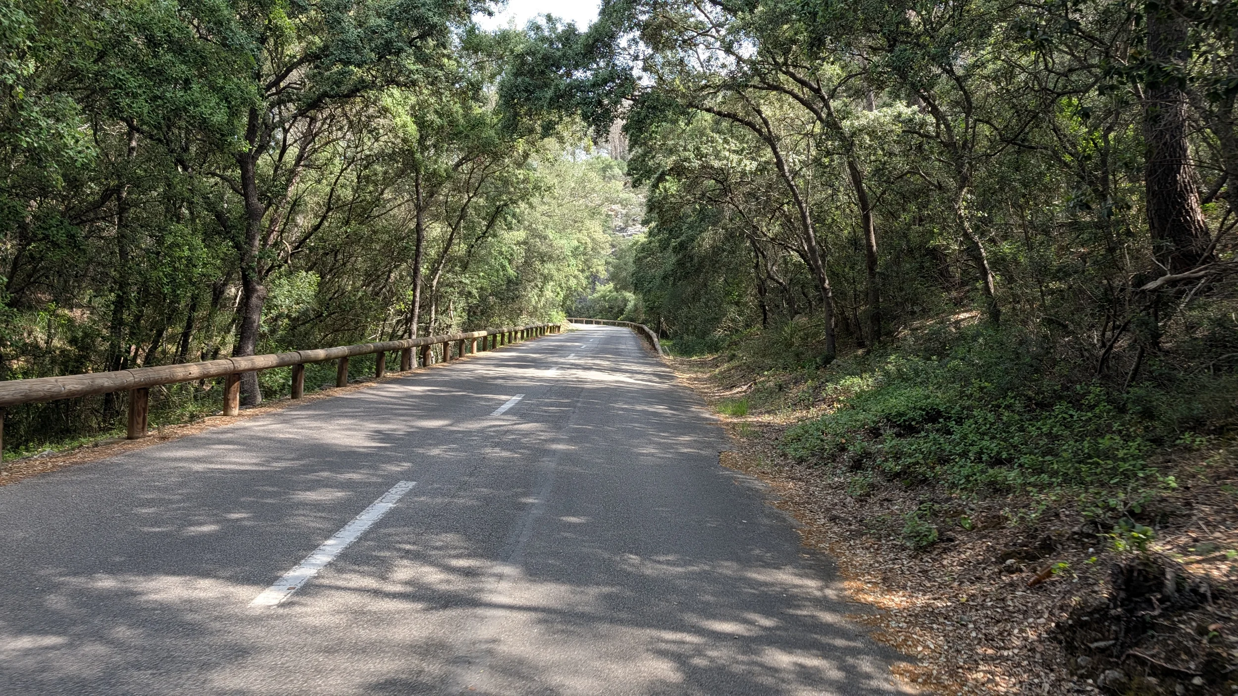 PXL_20260430_093339937.MP.webp