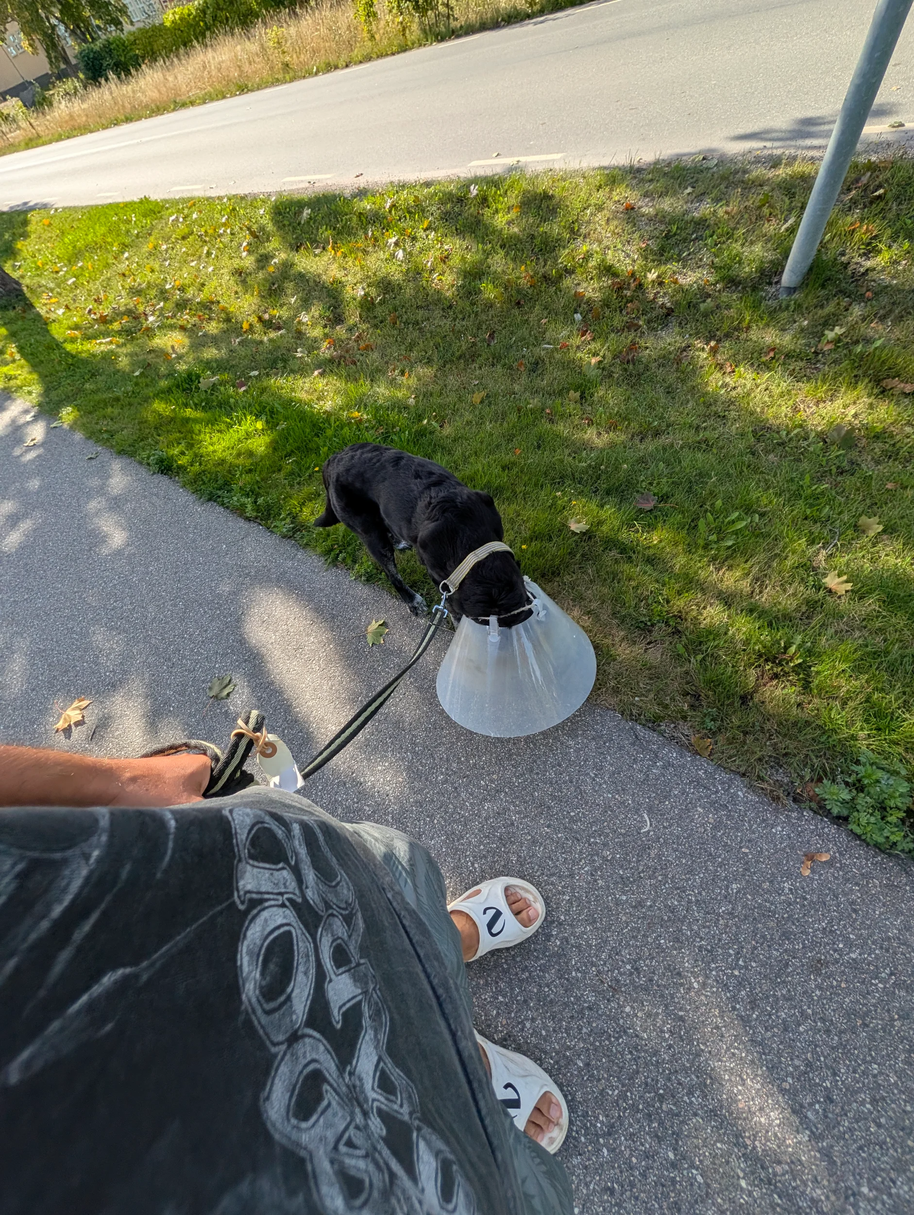 PXL_20260914_101506447.MP.webp