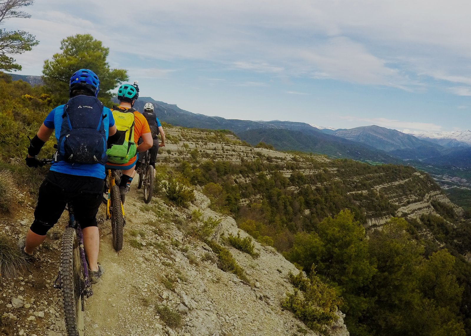 pyreneerna.jpg