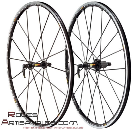 R-sys-premium.jpg ht=518