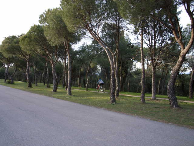 r0010103_small.jpg
