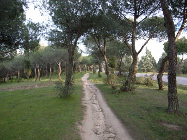 r0010104_small.jpg