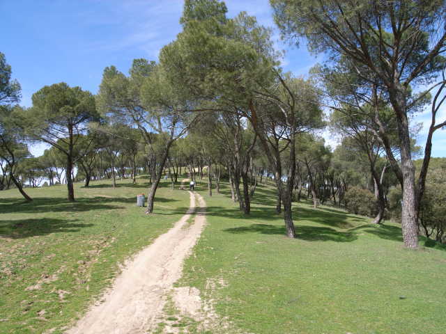 r0010157_small.jpg