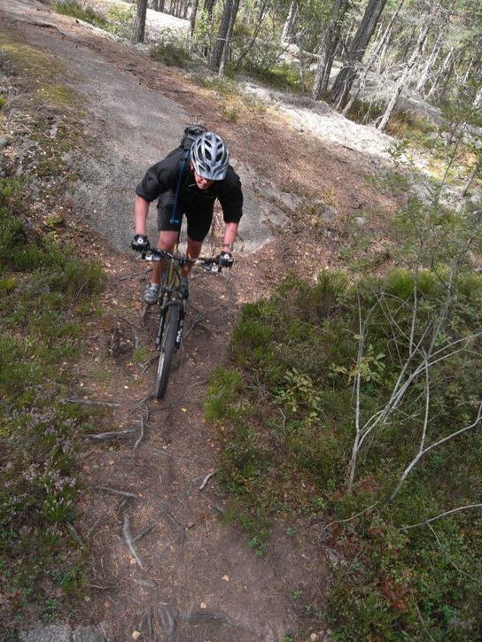 r0010505_small.jpg ht=725