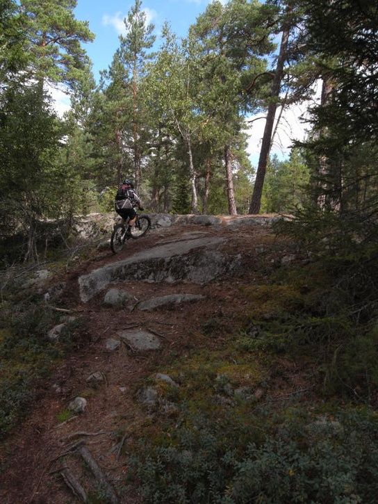 r0010512_small.jpg ht=725