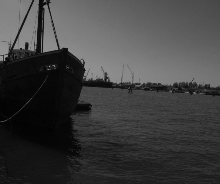 R0010923.jpg ht=607