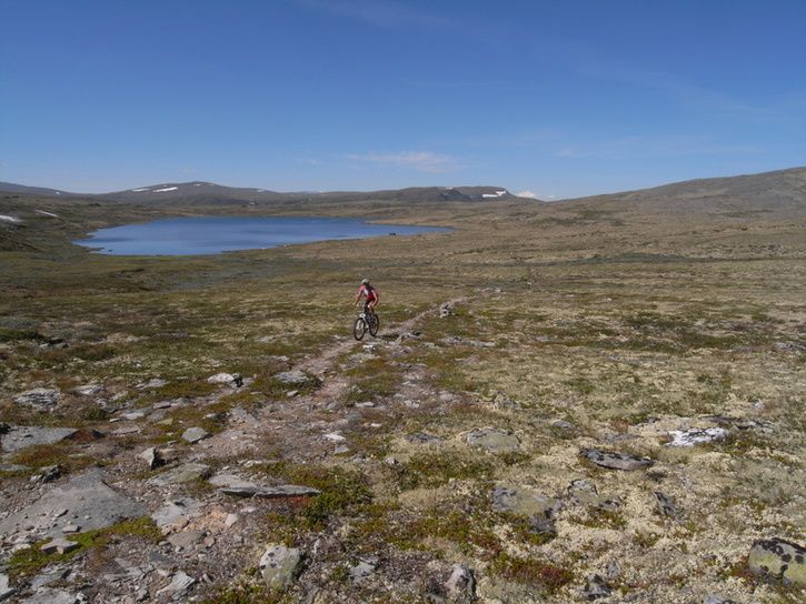 r0011438.jpg ht=544