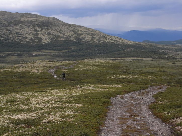 r0011539.jpg ht=544