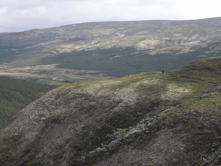 r0011550.jpg ht=544