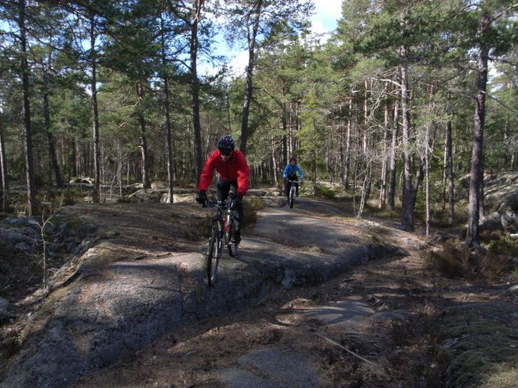 r0014530_small.jpg ht=544