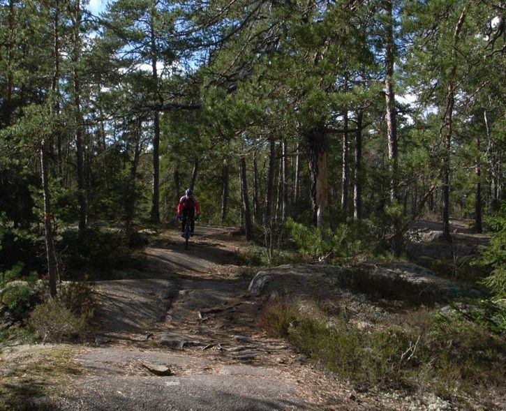 r0014531_2_small.jpg ht=589