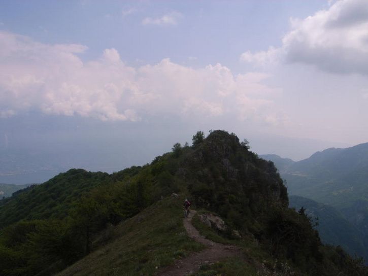 r0014673_small.jpg ht=544