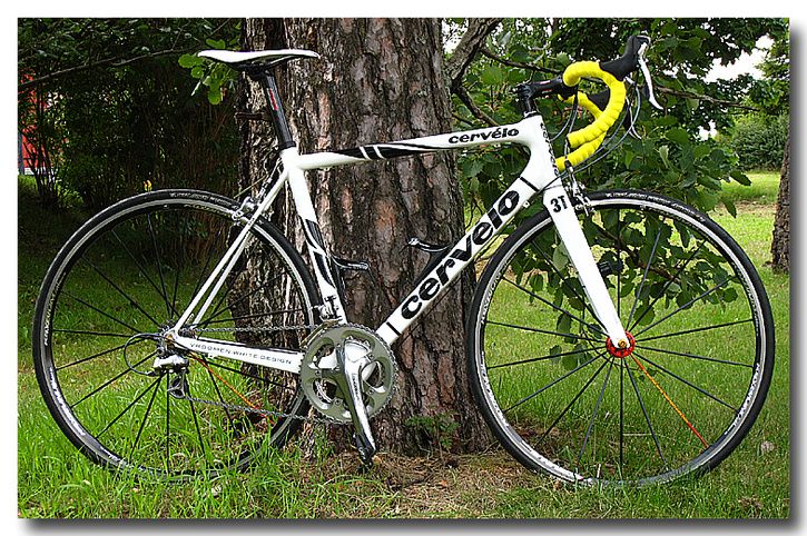 R3gullinda.jpg ht=482
