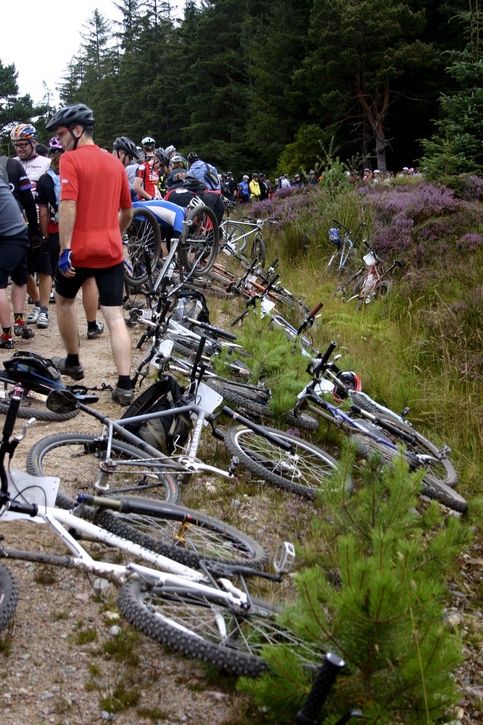 racestart.jpg ht=725