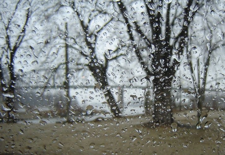 Rainy-day.JPG