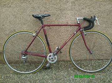 raleigh-team-replica-7185c.jpg