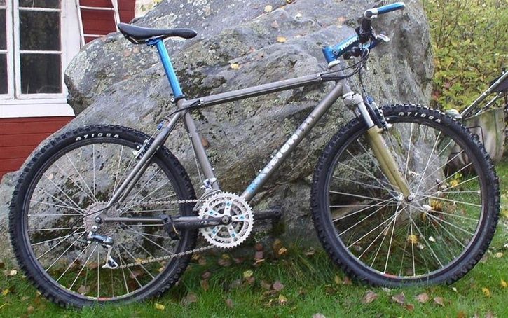 raleigh3Medium.jpg ht=454