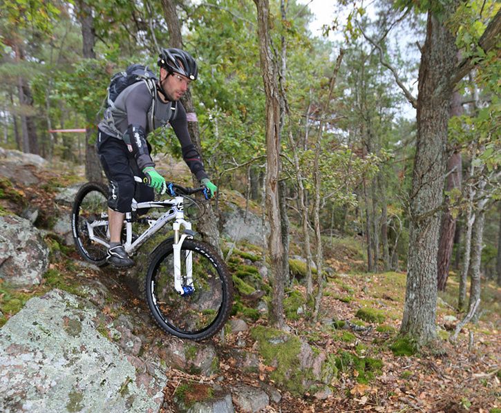 rally25.jpg