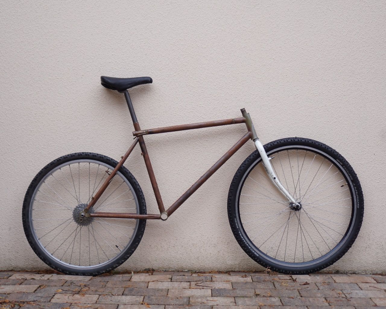 Ratbike-69er - 1 (2).jpeg