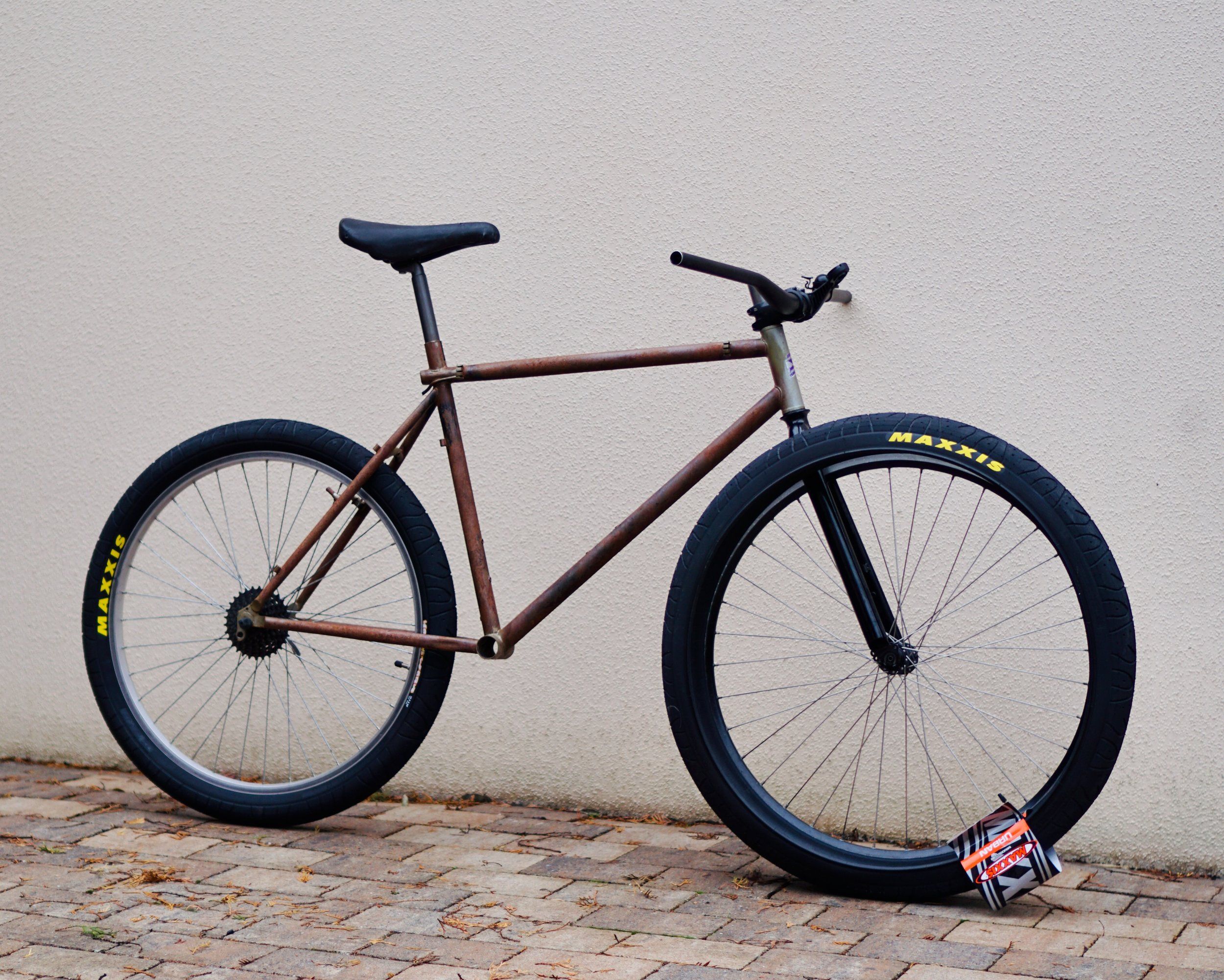 Ratbike-69er - 1 (5).jpeg