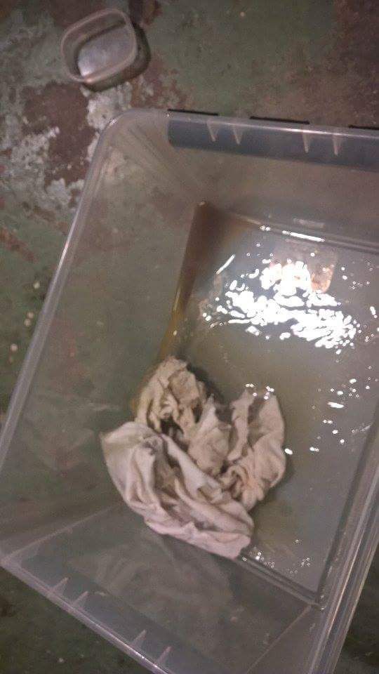 received_10153985629096608.jpeg