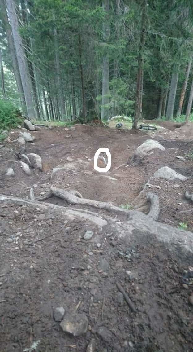received_10154597654706109.jpeg