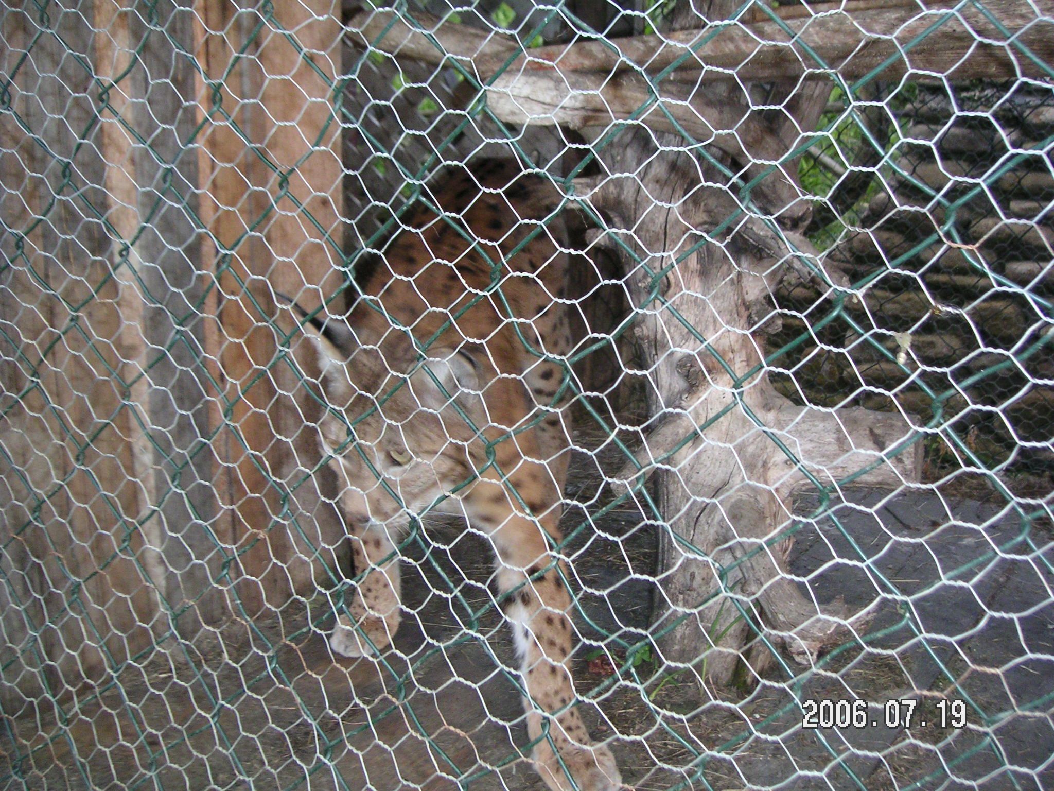 Recoverd_jpg_file(3193).jpg