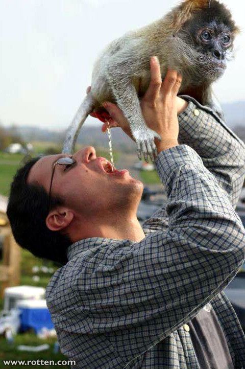 refreshment.jpg ht=722