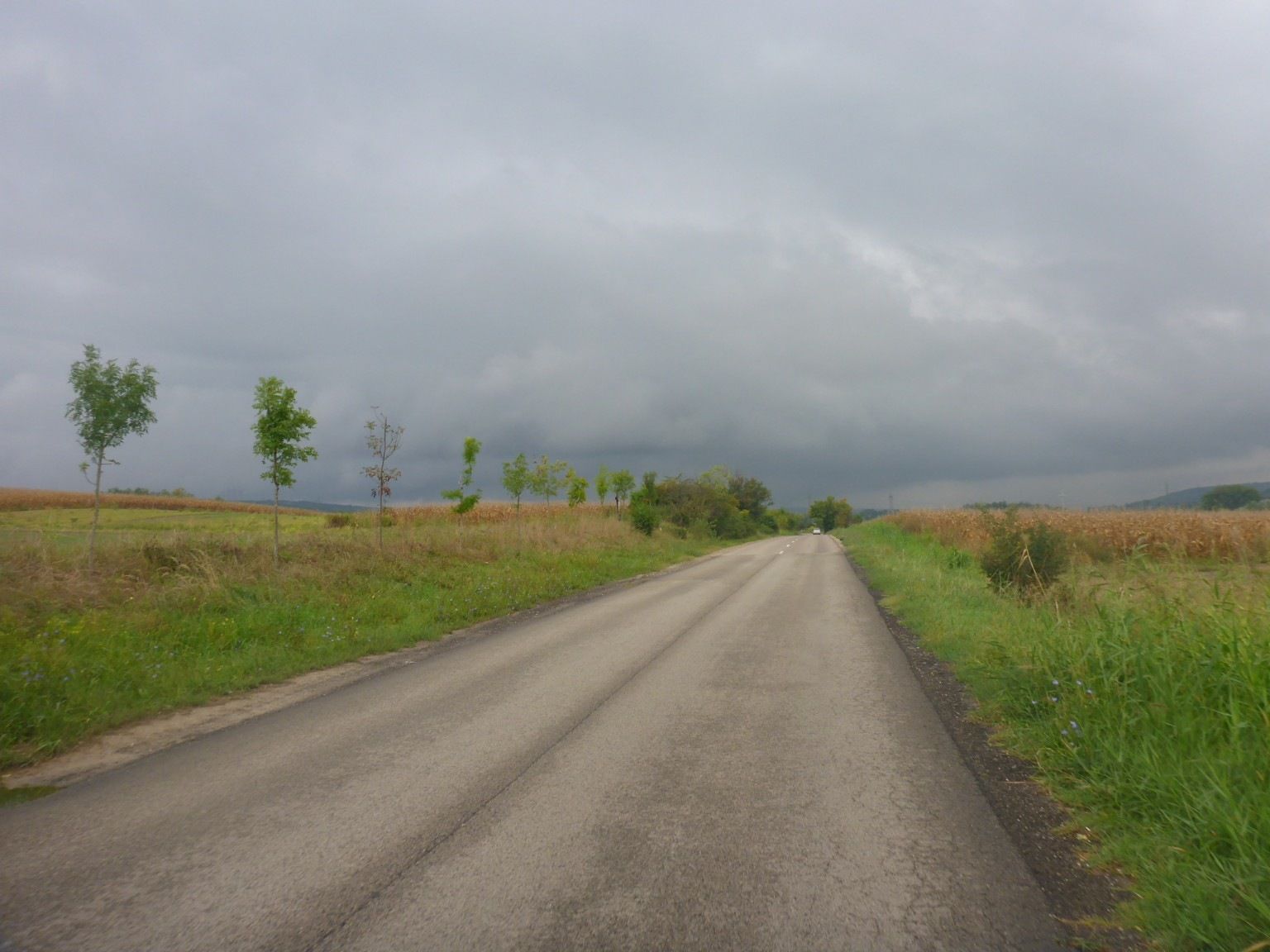Regn2.JPG