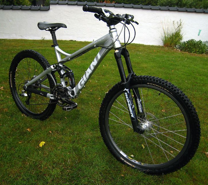 reign2008.jpg ht=644