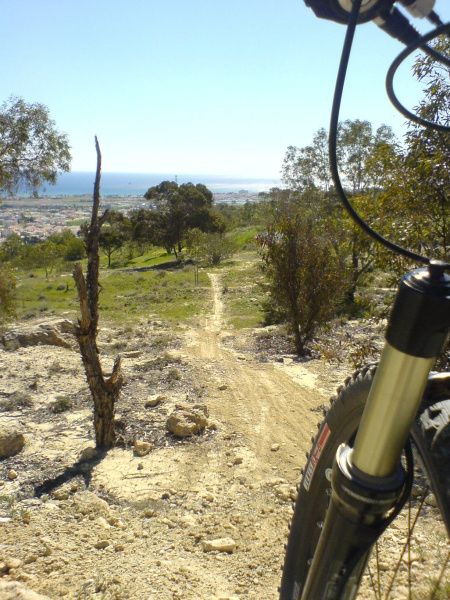 ResizedDSC01268.jpg ht=600