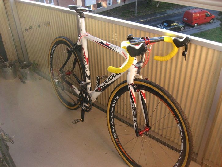 ridley002.jpg ht=544