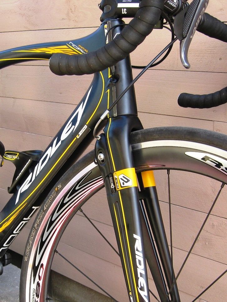 Ridleycloseup.jpg
