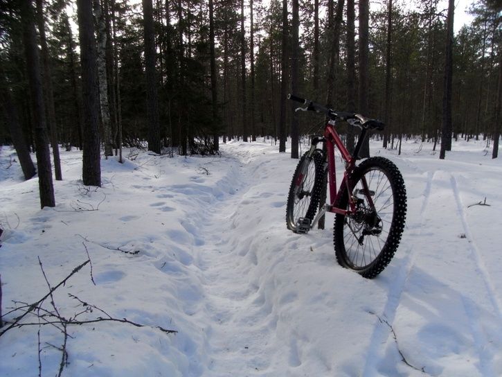 RIMG0004Modified.JPG ht=544