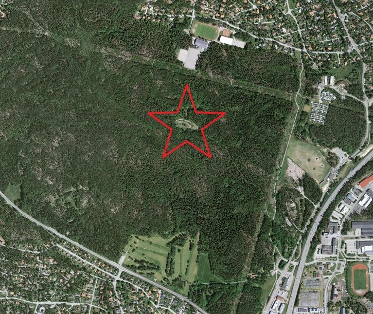 rinkebyskogen.jpg