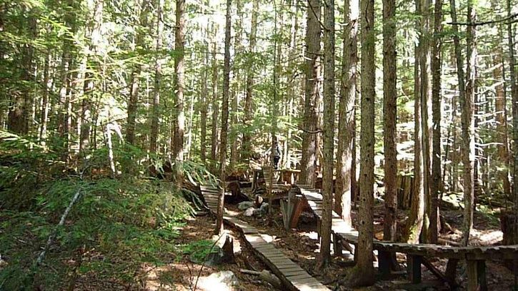river.runs.christer.woodwork.jpg ht=408