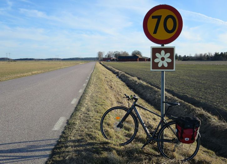 road.jpg