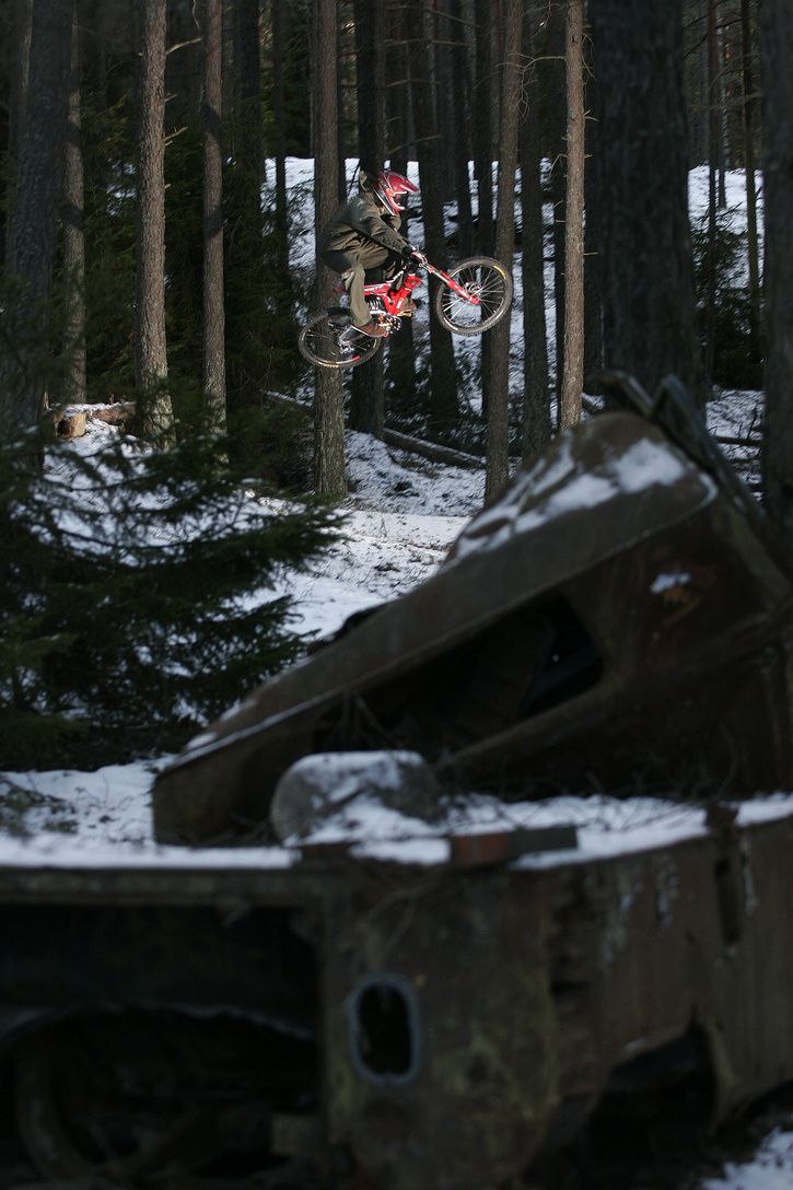 robin_5_grusan_jan2005.jpg