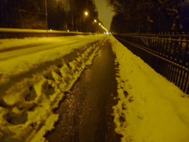 rodelbana.jpg ht=480