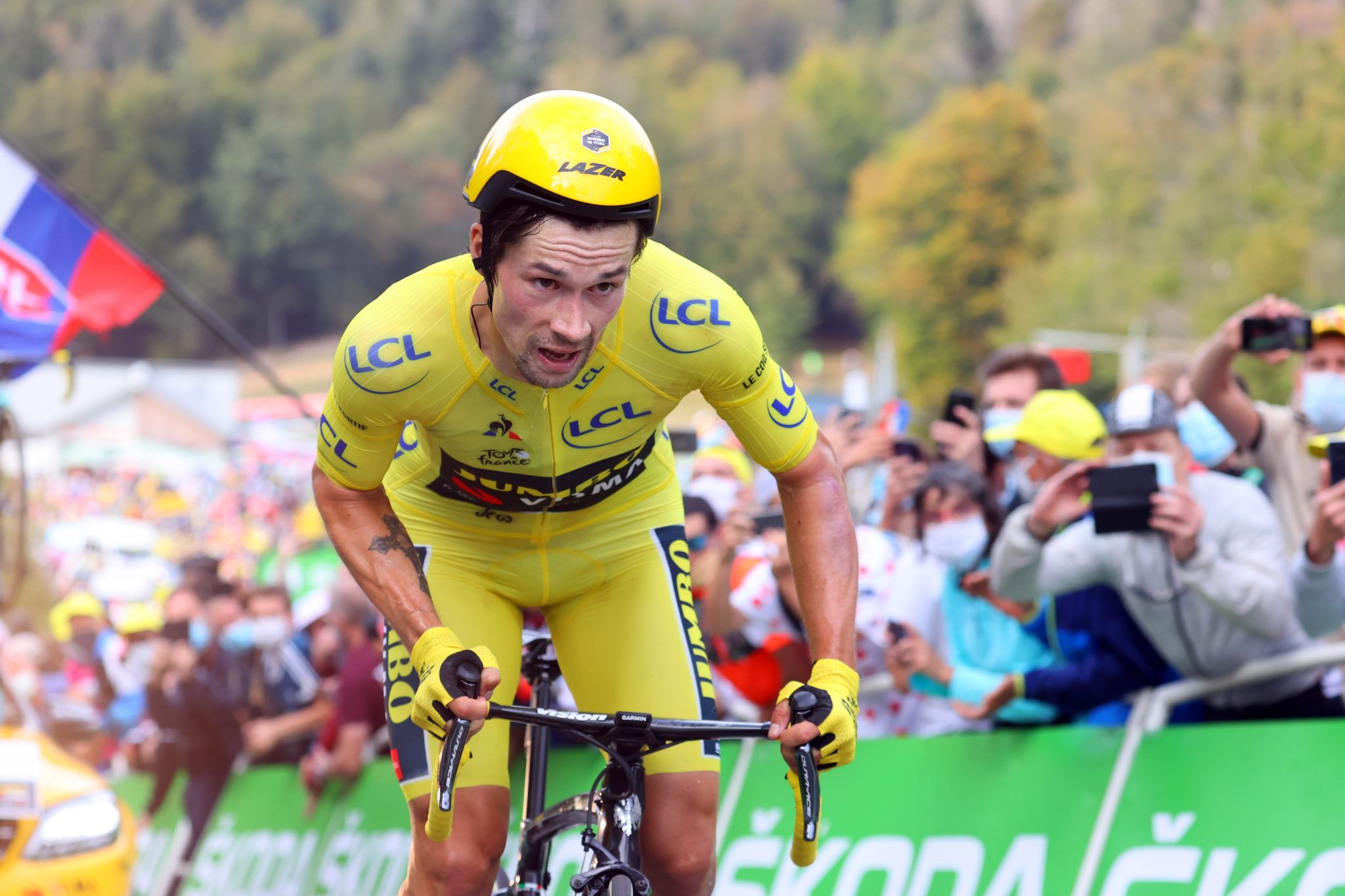 roglic.jpg