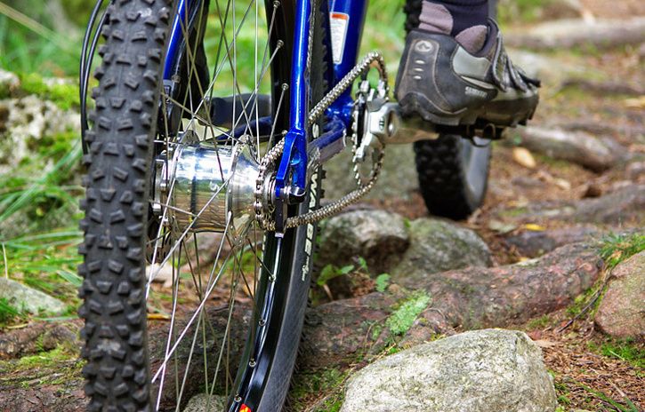 Rohloff-Speedhub.jpg ht=464