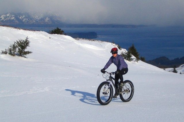 rohloff2.jpg ht=426