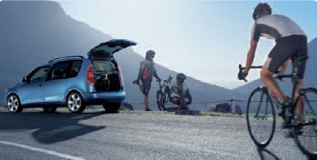 roomster2.jpg ht=226