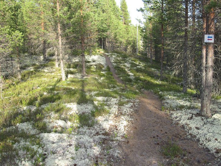 Rrbcksns-11.jpg ht=544