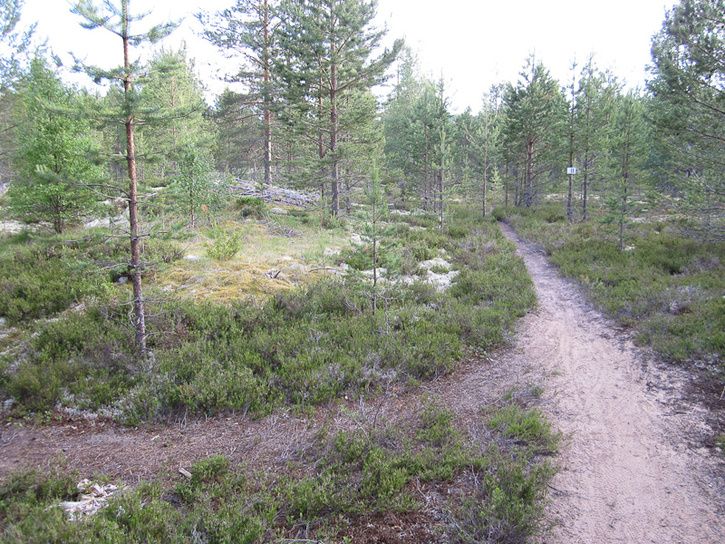 Rrbcksns-12.jpg ht=544