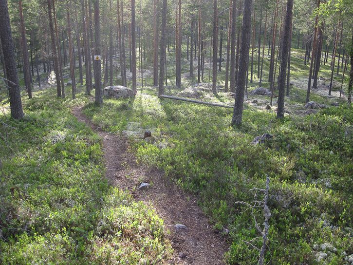 Rrbcksns-13.jpg ht=544